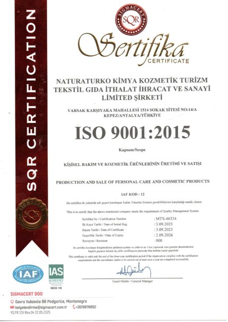 ISO 9001_page-0001